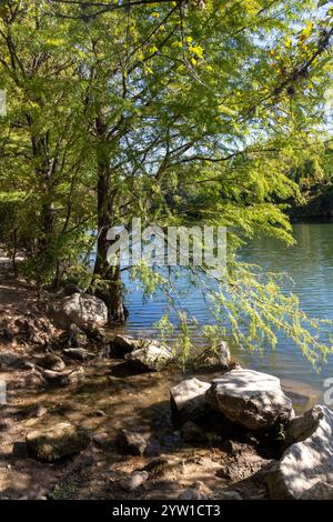 Bäume rund um den Colorado River, Austin, Texas, USA Stockfoto