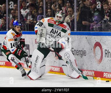 Köln, Nordrhein-Westfalen, Deutschland. Dezember 2024. Augsburger Panther Torhüter STRAUSS MANN (38, rechts) kommt hinter das Tor, um den Puck vor Teamkollegen DONALD D.J. BUSDEKER (14, links) im 24. Spieltag Spiel der Deutschen Eishockey Liga zwischen den Kölner Haie und dem Augsburger Panther in der Lanxess Arena in Köln am 8. Dezember 2024 zu sammeln. (Kreditbild: © Kai Dambach/ZUMA Press Wire) NUR REDAKTIONELLE VERWENDUNG! Nicht für kommerzielle ZWECKE! Stockfoto