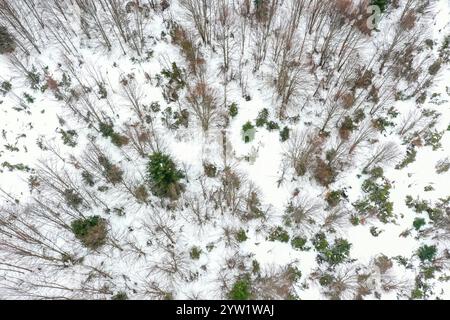 Mavrovo, Nordmazedonien. Dezember 2024. Ein Luftbild zeigt den schneebedeckten Mavrovo-Nationalpark in Mavrovo, Nordmazedonien, 8. Dezember 2024. Quelle: Tomislav Georgiev/Xinhua/Alamy Live News Stockfoto