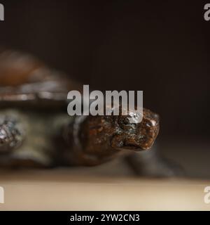 Dieses exquisite Bild zeigt eine wunderschön gefertigte Bronze-Schildkröte-Skulptur vor einer rustikalen Holzkulisse Stockfoto