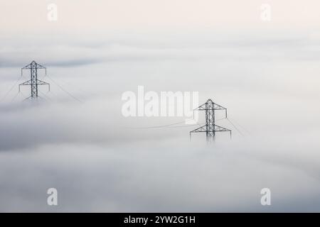 Nebelummantelte Stromleitungen. Stockfoto