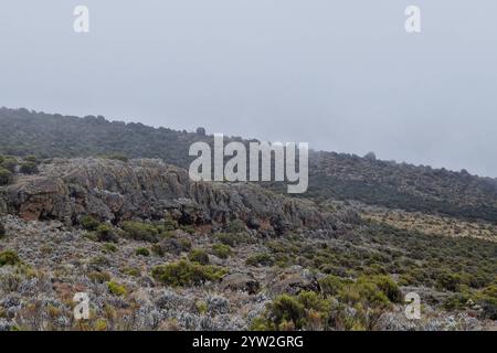 DATUM NICHT ANGEGEBEN Daressalam Themenfoto: Reise, Afrika, Tansania, Kilimandscharo, 07.12.2024 die karge Hochebene des Mount Kilimandscharo Themenfoto: Reise, Afrika, Tansania, Kilimandscharo, 07.12.2024 *** dar es Salaam Themenfoto Reise, Afrika, Tansania, Kilimandscharo, 07 12 2024 das karge Hochplateau des Mount Kilimandscharo 2024 Stockfoto