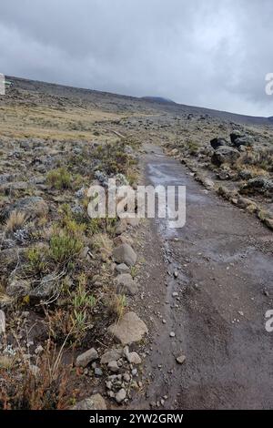 DATUM NICHT ANGEGEBEN Daressalam Themenfoto: Reise, Afrika, Tansania, Kilimandscharo, 07.12.2024 die karge Hochebene des Mount Kilimandscharo Themenfoto: Reise, Afrika, Tansania, Kilimandscharo, 07.12.2024 *** dar es Salaam Themenfoto Reise, Afrika, Tansania, Kilimandscharo, 07 12 2024 das karge Hochplateau des Mount Kilimandscharo 2024 Stockfoto