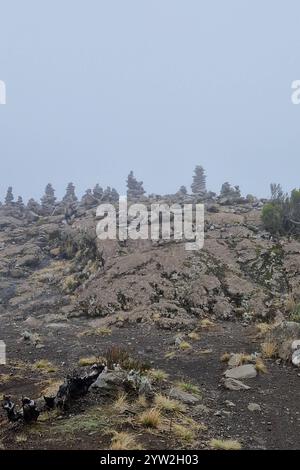 DATUM NICHT ANGEGEBEN Daressalam Themenfoto: Reise, Afrika, Tansania, Kilimandscharo, 07.12.2024 die Hochebene am Kilimadscharo Themenfoto: Reise, Afrika, Tansania, Kilimandscharo, 07.12.2024 *** dar es Salaam Themenfoto Reise, Afrika, Tansania, Kilimandscharo, 07 12 das Plateau am Kilimandscharo Themenfoto Reise, Afrika, Tansania, Kilimandscharo, 07/12.07.12.2024 das Plateau am Eixfoxfoto 2024 Stockfoto