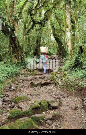 Daressalam Themenfoto: Reise, Afrika, Tansania, Kilimandscharo, 07.12.2024 Einheimische Traeger erleichtern den Aufstieg zum Mount Kilimadscharo Themenfoto: Reise, Afrika, Tansania, Kilimandscharo, 07.12.2024 Copyright: XEibner-Pressefoto/JuergenxAugstx EP JAT Stockfoto