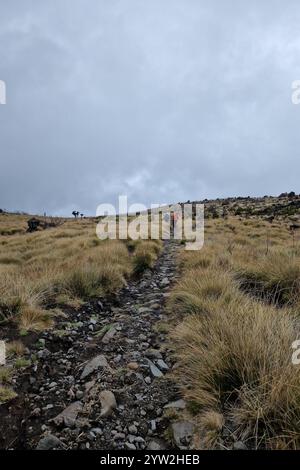 DATUM NICHT ANGEGEBEN Daressalam Themenfoto: Reise, Afrika, Tansania, Kilimandscharo, 07.12.2024 die Hochebene am Kilimadscharo Themenfoto: Reise, Afrika, Tansania, Kilimandscharo, 07.12.2024 *** dar es Salaam Themenfoto Reise, Afrika, Tansania, Kilimandscharo, 07 12 das Plateau am Kilimandscharo Themenfoto Reise, Afrika, Tansania, Kilimandscharo, 07/12.07.12.2024 das Plateau am Eixfoxfoto 2024 Stockfoto