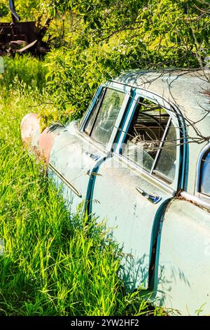 Ein Auto steht auf einem grasbewachsenen Feld. Das Auto ist alt und verrostet. Das Gras ist hoch und grün. Das Auto ist von Bäumen umgeben Stockfoto