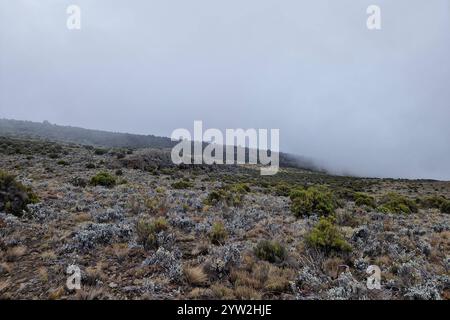 DATUM NICHT ANGEGEBEN Daressalam Themenfoto: Reise, Afrika, Tansania, Kilimandscharo, 07.12.2024 die karge Hochebene des Mount Kilimandscharo Themenfoto: Reise, Afrika, Tansania, Kilimandscharo, 07.12.2024 *** dar es Salaam Themenfoto Reise, Afrika, Tansania, Kilimandscharo, 07 12 2024 das karge Hochplateau des Mount Kilimandscharo 2024 Stockfoto