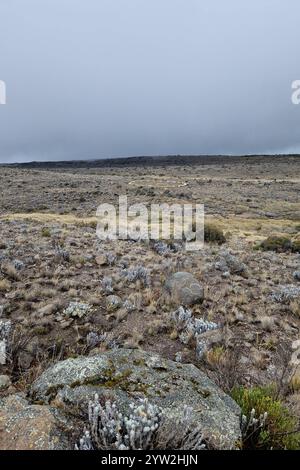 DATUM NICHT ANGEGEBEN Daressalam Themenfoto: Reise, Afrika, Tansania, Kilimandscharo, 07.12.2024 die karge Hochebene des Mount Kilimandscharo Themenfoto: Reise, Afrika, Tansania, Kilimandscharo, 07.12.2024 *** dar es Salaam Themenfoto Reise, Afrika, Tansania, Kilimandscharo, 07 12 2024 das karge Hochplateau des Mount Kilimandscharo 2024 Stockfoto