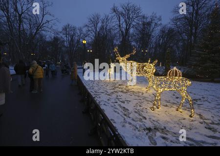 Nicht exklusiv: CHARKIW, UKRAINE - 7. DEZEMBER 2024 - Rehanlagen auf dem Rasen während der Weihnachtszeit, Charkiw, Nordost-Ukraine. Stockfoto