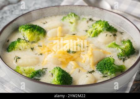 Winter Brokkoli Gnocchi Suppe mit Cheddar Käse, Thymian, Zwiebeln und Knoblauch in Nahaufnahme auf einem Teller auf dem Tisch. Horizontal Stockfoto