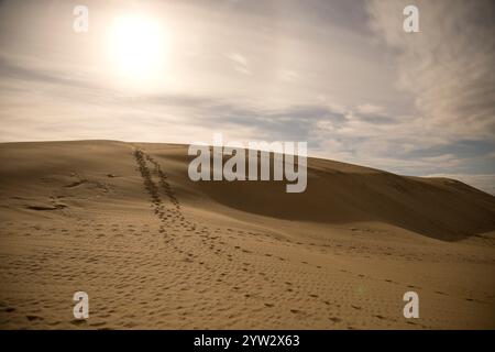 Goldene Sonne, die ein warmes Leuchten über Sanddünen wirft, mit einer Spur von Fußspuren, die über den Kamm führen, Te Paki Sand Dunes, Northland, Neuseeland Stockfoto