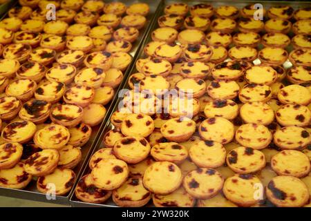 Frisch gebackenes Pastell de Nata, traditionelle portugiesische Pudding-Torten, in ordentlichen Reihen in einer Bäckerei, Portugal Stockfoto