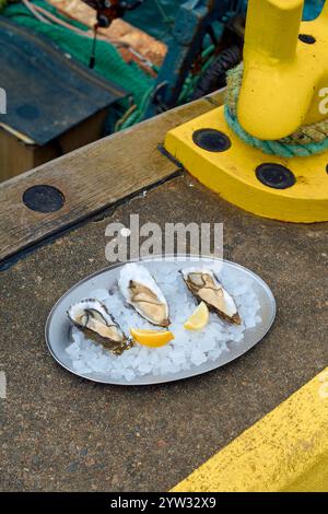 Frische Austern auf Eis mit Zitronenscheiben, serviert auf einem Metalltablett an einem Küstendock in Schottland Stockfoto