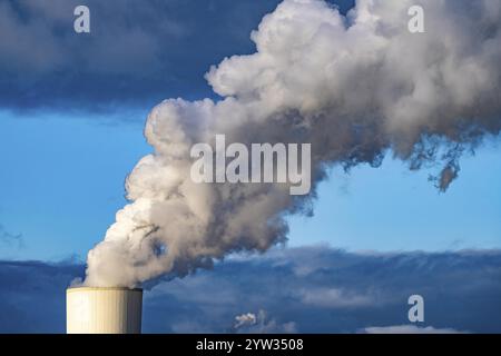 Kühlturm des STEAG Kohlekraftwerks Duisburg-Walsum, auf dem Gelände der ehemaligen Zeche Walsum, am Rhein, Block 10 in Betrieb, 181 Stockfoto