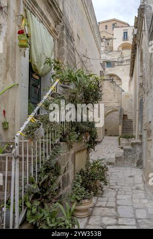 Schmaler Steinweg mit Pflanzen auf einer Treppe, umgeben von alten, verwitterten Gebäuden in mediterraner Umgebung, Matera historisches Zentrum, Basalicata, s Stockfoto