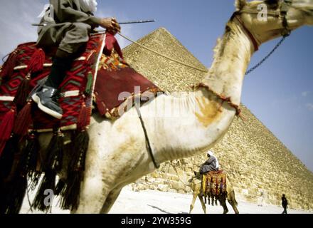 Kamelfahrer vor der Großen Pyramide von Khufu (Cheops), Gizeh-Plateau, Ägypten. Stockfoto