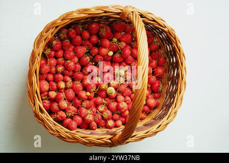 Blick von oben auf einen Korb mit frisch geernteten, leuchtenden roten Erdbeeren. Die Szene zeigt eine Fülle von Naturprodukten und zeigt Fre Stockfoto