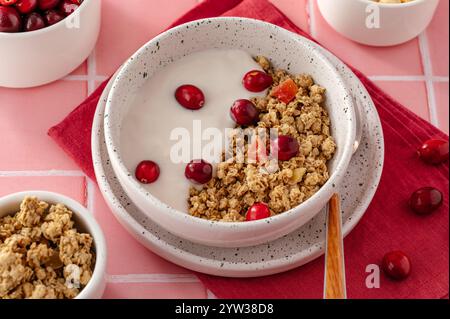 Müsli und Joghurt in einer Schüssel mit frischen Preiselbeeren Stockfoto