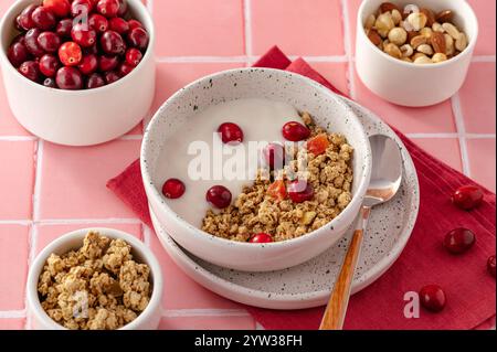 Müsli und Joghurt in einer Schüssel mit frischen Preiselbeeren Stockfoto