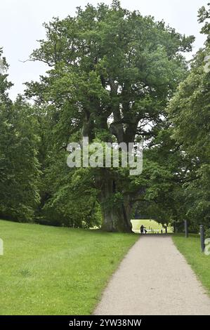 DEU, Deutschland, Sellin (Rügen) : die Arbeiterwohlfahrtsorganisation (AWO) hat eine Reise für Senioren nach Rügen als besonderes Erlebnis gestaltet Stockfoto