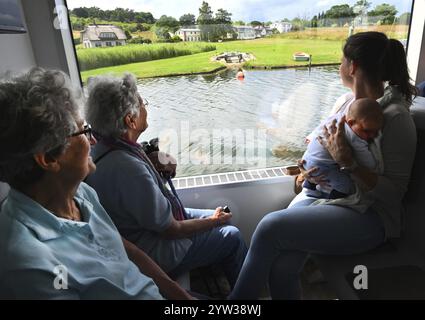 DEU, Deutschland, Sellin (Rügen) : die Arbeiterwohlfahrtsorganisation (AWO) hat eine Reise für Senioren nach Rügen als besonderes Erlebnis gestaltet Stockfoto