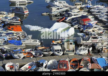 Eisberg im Hafen, Ilulissat, Disko Bay, Westküste, Grönland, Jakobshavn, Nordamerika Stockfoto