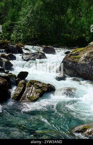 Der rauschende Bach fließt über Felsen, umgeben von üppigem Grün, Trollstiege, Trollvegen, Norwegen Stockfoto