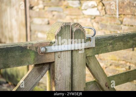 Feldschieberverriegelung an zwei Holztüren Stockfoto