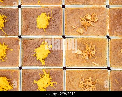 Khanom Mo Kaeng, traditionelles thailändisches süßes Dessert mit Kokospudding. Stockfoto