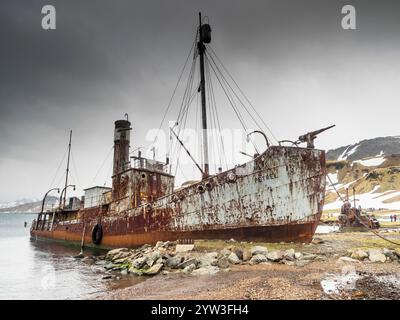 Wrack des Schließers Petrel, Grytviken, Südgeorgien Stockfoto
