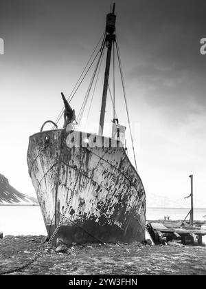 Wrack des Schließers Petrel, Grytviken, Südgeorgien Stockfoto
