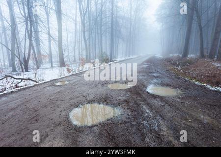 Pfützen auf einer unbefestigten Straße in einem nebeligen Winterwald im Osten Polens Stockfoto