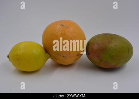 Gesundheit, gesunde Lebensmittel, Früchte, geeignete Ernährung. Eine grün-rote Mango, eine gelbe Zitrone, eine rot-orange Grapefruit auf weißem mattem Hintergrund. Stockfoto