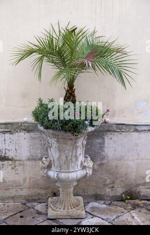 Amphoren mit Palmen und Blumen, Galatina, Apulien, Italien, Europa Stockfoto