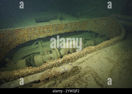 Rostig, mit Muscheln, Quagga Dreieckmuschel (Dreissena rostriformis bugensis), invasive Arten, überdachter Motorteil eines Schiffswracks unter Wasser, Tauchen Stockfoto