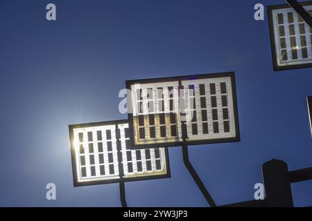 Solarzellen, Solarbaum, Ulmer Wohnviertel Solar City, Ulm, Baden-Württemberg, Deutschland, Europa Stockfoto