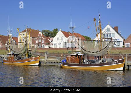 Krabbenschneider im Hafen vor historischen Gebäuden, blauer Himmel, Greetsiel, Nordsee, Niedersachsen, Deutschland, Europa Stockfoto