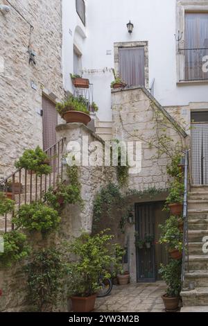 Idyllische Gasse mit Treppen und üppiger Pflanzendekoration in Terrakotta-Töpfen, Cisternino, Apulien, Italien, Europa Stockfoto