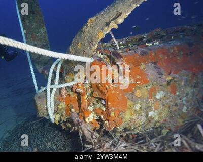 Nahaufnahme eines Flugzeugwracks aus dem Zweiten Weltkrieg unter Wasser, Tauchplatz Flugzeugwrack Mustang P51, Halbinsel Giens, Provence Alpes Cote d'Azu Stockfoto