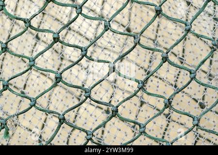 Fischernetze, Nahaufnahme, Nordsee, Greetsiel, Niedersachsen, Deutschland, Europa Stockfoto