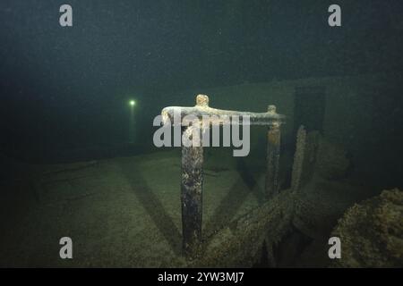 Detaillierte Ansicht eines mit Muscheln bedeckten Schiffswracks, Quagga-Dreieckmuschel (Dreissena rostriformis bugensis), invasive Arten, in der Dunkelheit, Tauchplatz Stockfoto