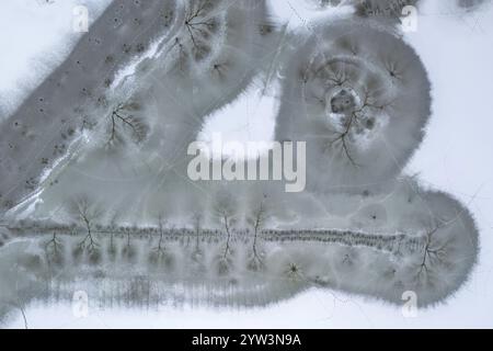 Luftaufnahme, Seenlandschaft, Schilfbett, überflutete Fläche, Biotope, Habitat, Elbaue, Auenlandschaft, Flusslauf, Delta, Risse im Eis, Stockfoto