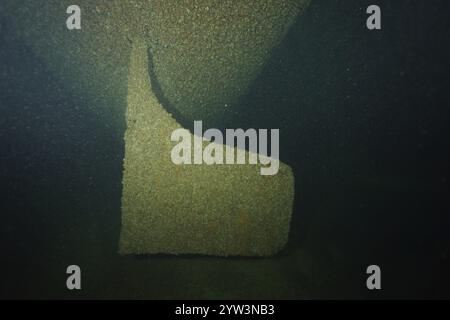 Großes Schiffsruder, mit Muscheln, Quagga Dreieckmuschel (Dreissena rostriformis bugensis), invasiven Arten, bewachsen, liegt in dunklen Tiefen, Tauchen Stockfoto