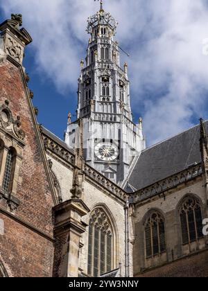 St. Bavo's Cathedral (de Grote von St. Bavokerk te Haarlem) und die prächtige 65 Meter hohe Kuppel auf dem Grote Markt im Zentrum der Altstadt, Ha Stockfoto