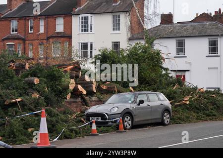 Schäden an einem Fahrzeug in der Nähe, nachdem im Leamington Spa nach Storm Darragh ein Zedernbaum gefallen war, was dazu führte, dass ein Mann am Samstag in Eile ins Krankenhaus gebracht wurde. Der Sturm brachte über das Wochenende starke Böen in viele Teile des Landes, und Millionen warnten davor, drinnen zu bleiben. Bilddatum: Montag, 9. Dezember 2024. Stockfoto