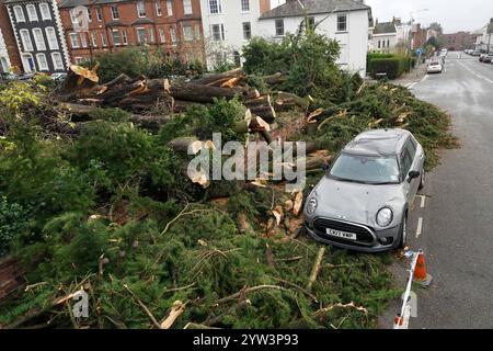 Schäden an einem Fahrzeug in der Nähe, nachdem im Leamington Spa nach Storm Darragh ein Zedernbaum gefallen war, was dazu führte, dass ein Mann am Samstag in Eile ins Krankenhaus gebracht wurde. Der Sturm brachte über das Wochenende starke Böen in viele Teile des Landes, und Millionen warnten davor, drinnen zu bleiben. Bilddatum: Montag, 9. Dezember 2024. Stockfoto