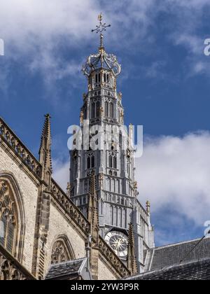 St. Bavo's Cathedral (de Grote von St. Bavokerk te Haarlem) und die prächtige 65 Meter hohe Kuppel auf dem Grote Markt im Zentrum der Altstadt, Ha Stockfoto