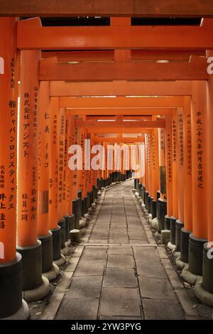 Torii, Fushimi Inari-Taisha, Fushimi, Kyoto, Japan, Asien Stockfoto