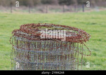 Drahtzäune Rolle aus quadratischem Tafeldraht und einer Spule aus rostigem Stacheldraht auf Gras gelegt in einem Feld Südküste Englands, Großbritannien Wintersaison Stockfoto